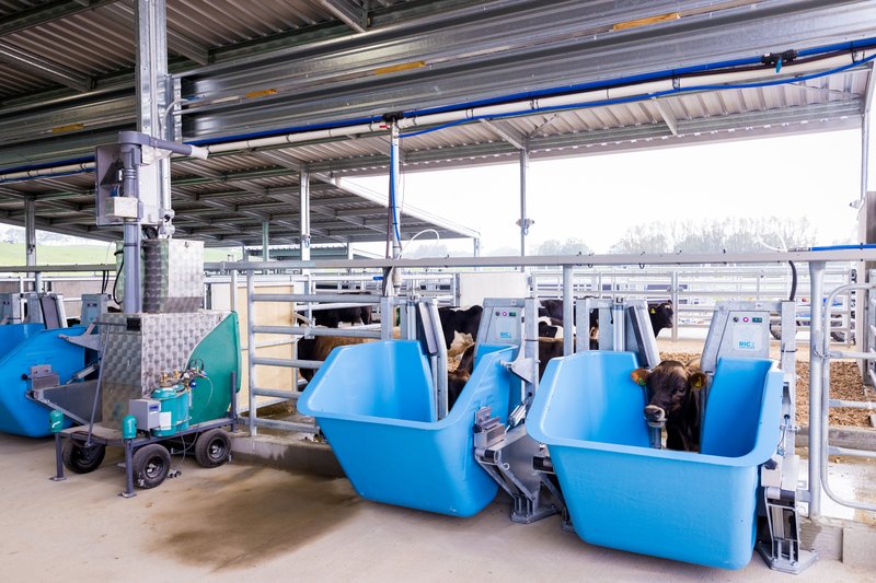 Methane research trial measuring bulls&#x27; feed intake and methane emissions – in the form of burps.jpg