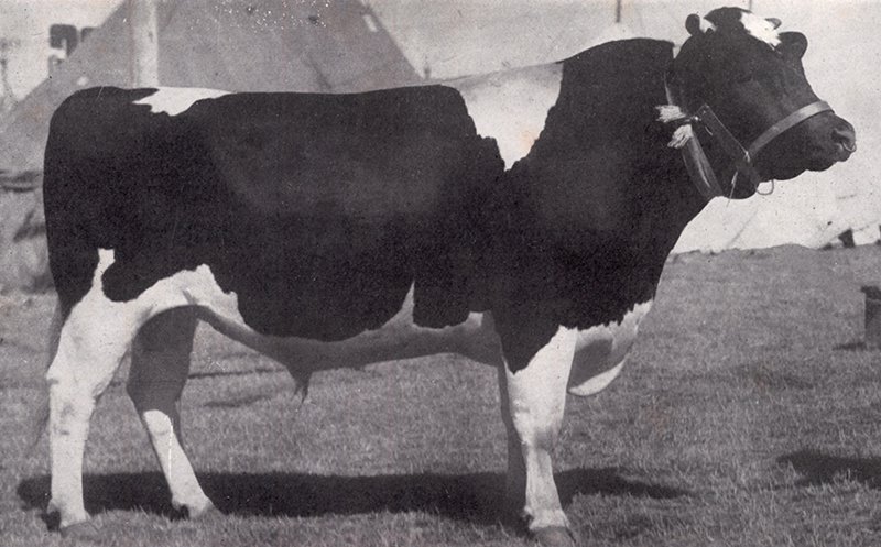 116 Terling Brabazon
