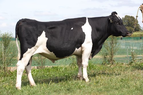 120080 Tronnoco M Saquoon-ET S3F