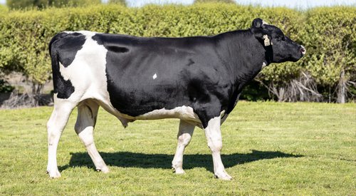 122022 Mattajude MA Magnificent S3F