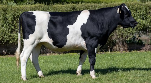 122080 Wittenham CP Pollman-P S1F