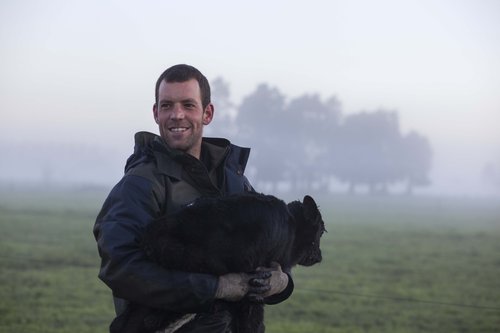 A recorded heifer means any measurements over its lifetime get included in her breeding worth