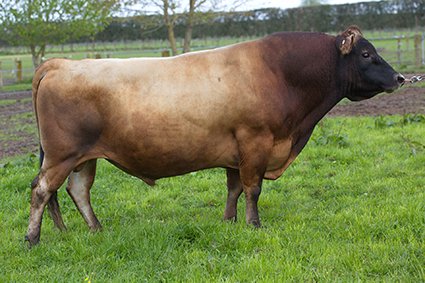 314022 Linan Integrity Winston