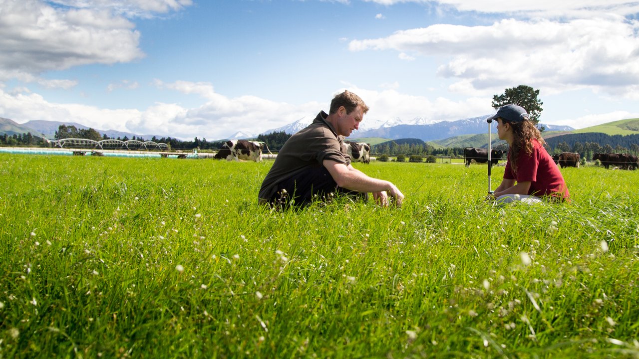 Farmers sitting in grass