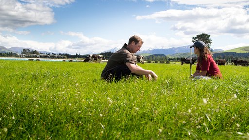 Farmers sitting in grass