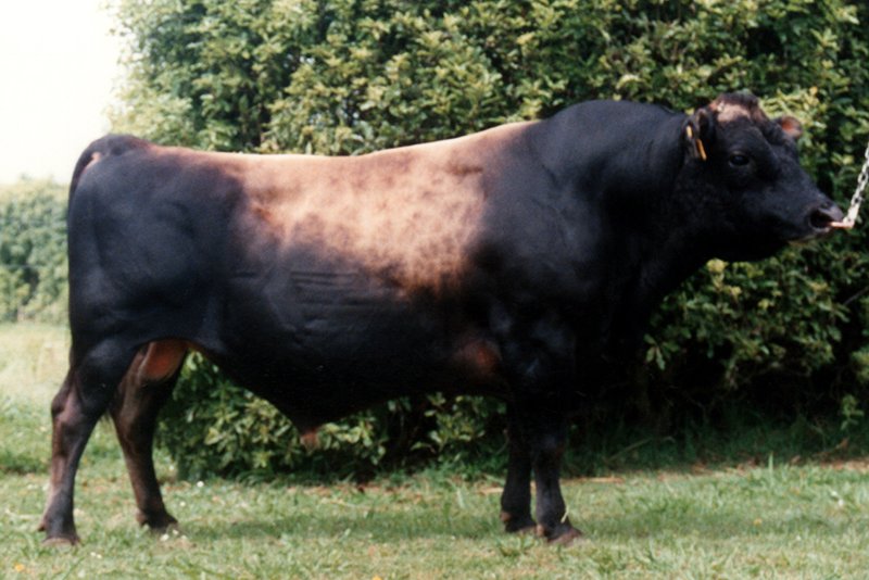 84431 Hanns Percy GR