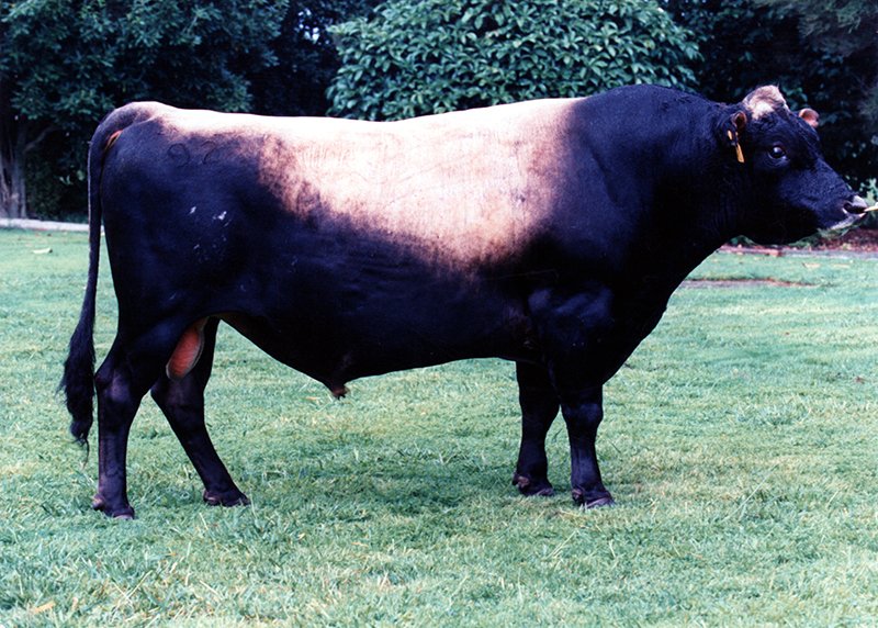 92412 Williams Lord Norman
