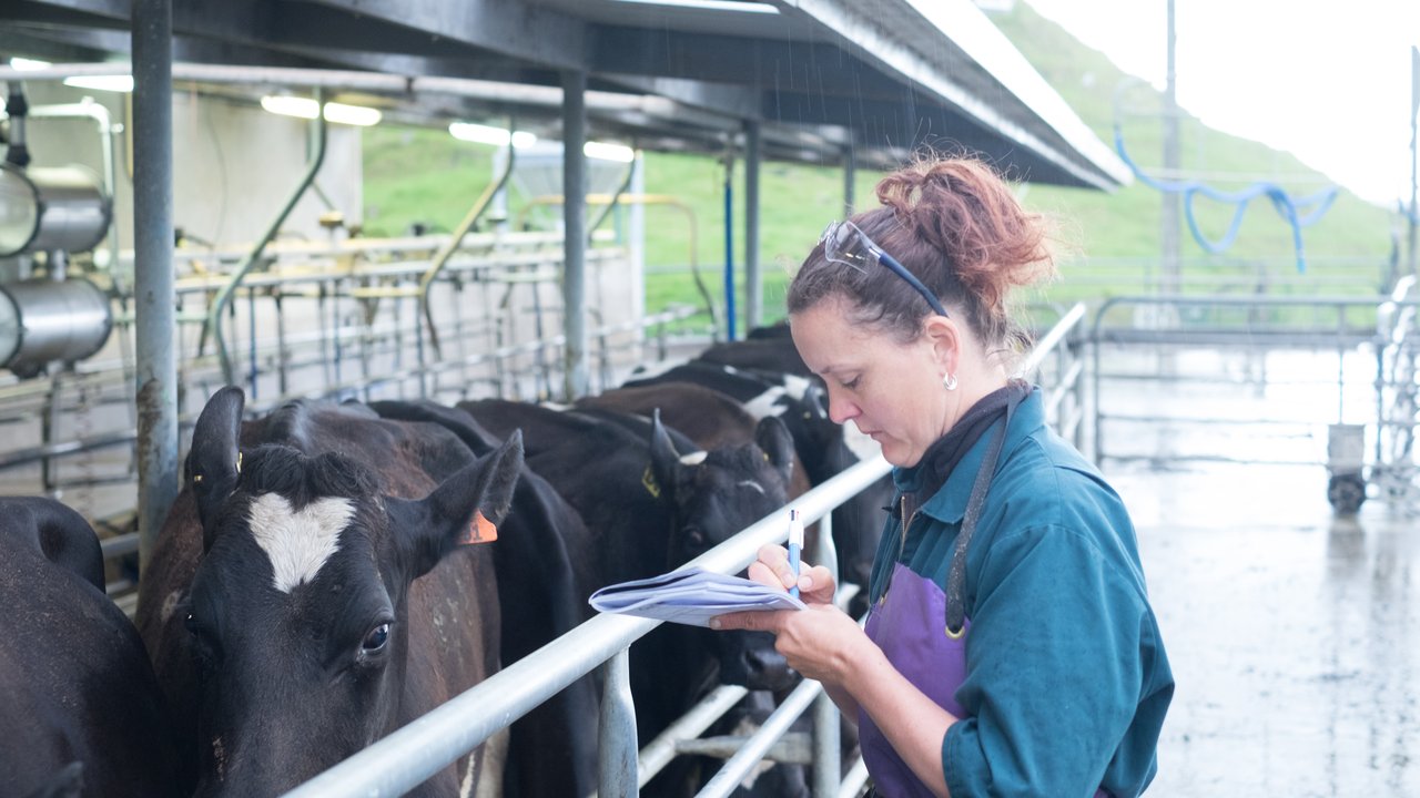 Farming DIY