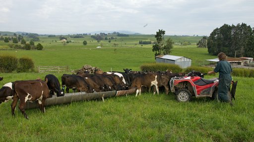 FarmWise Mike Bailey Bulletin 2020
