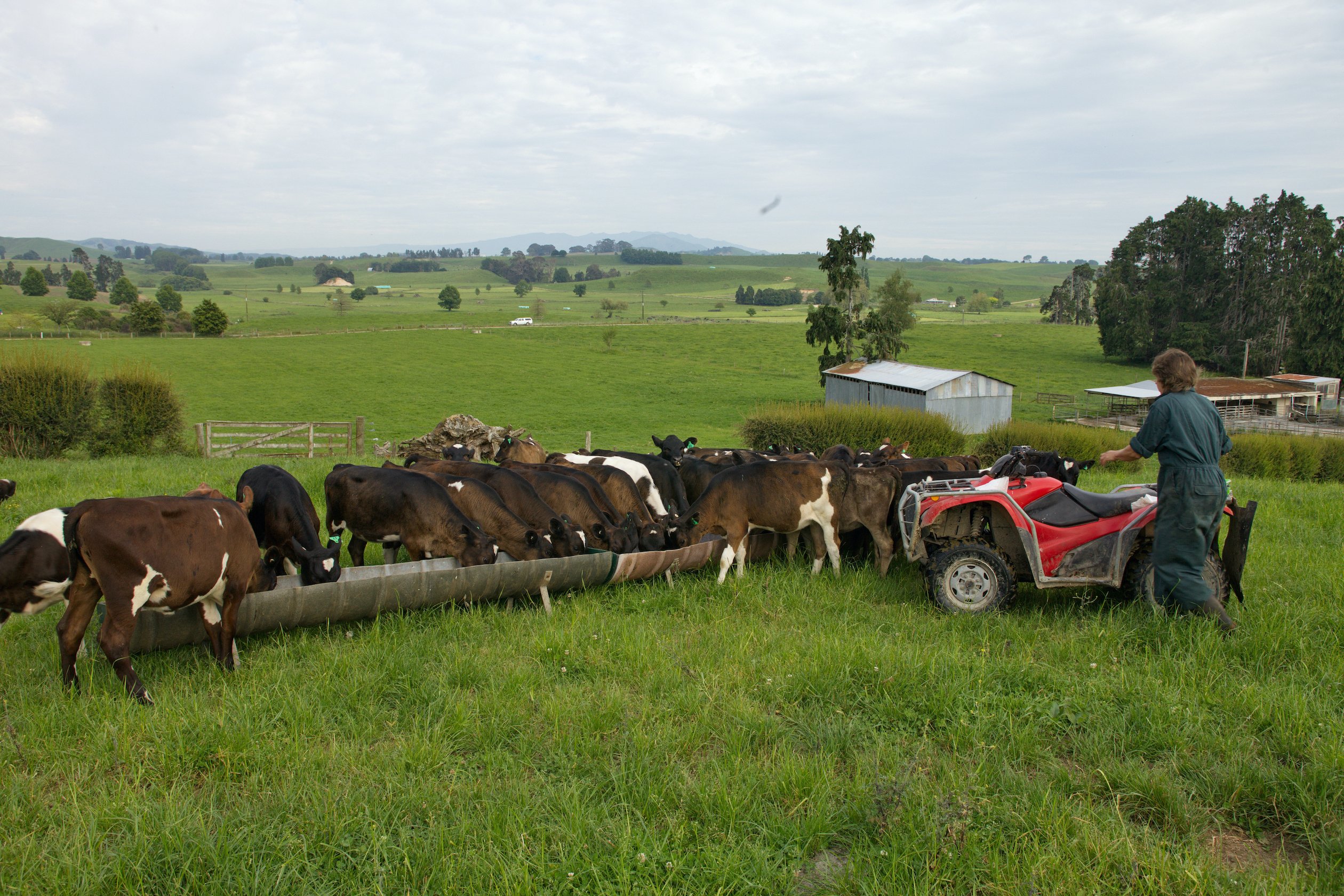 FarmWise Mike Bailey Bulletin 2020