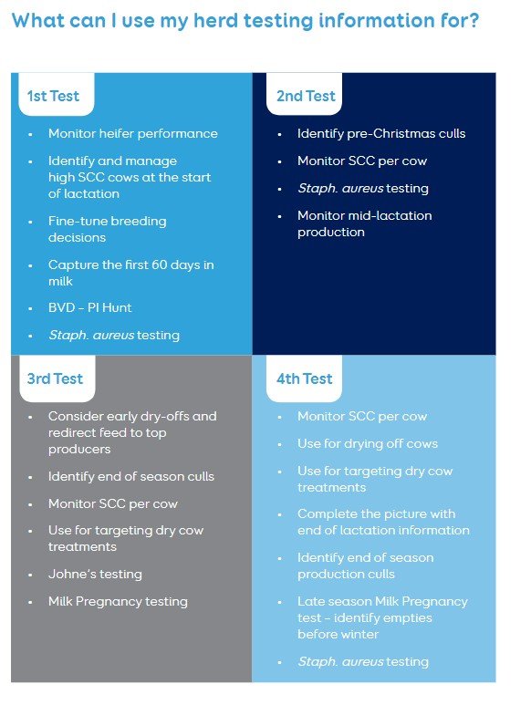 Herd test info square