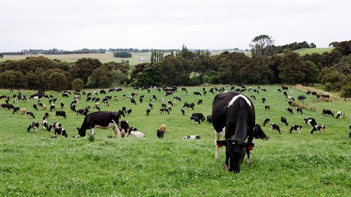 Farm scene 1