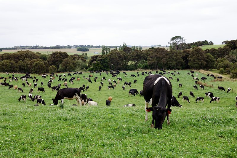 Farm scene 1