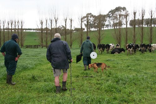 Know your feed status and paddock growth rates