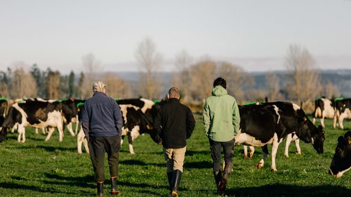 LIC-KingSt Galatea Farm 343.jpg