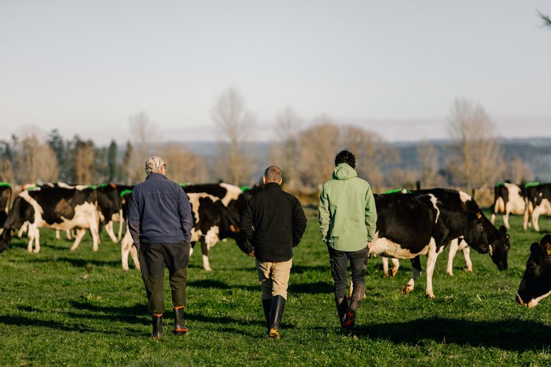 LIC-KingSt Galatea Farm 343.jpg