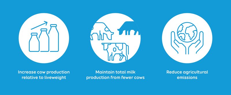 Breeding the best cows faster
