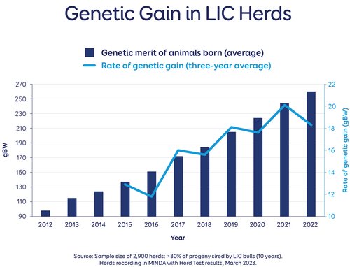 LIC Herd Improvement