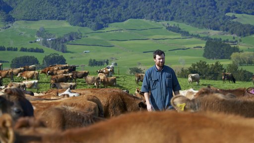farm scene jersey