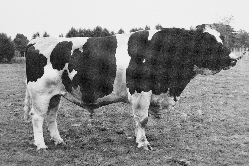 Turepo Sovereign