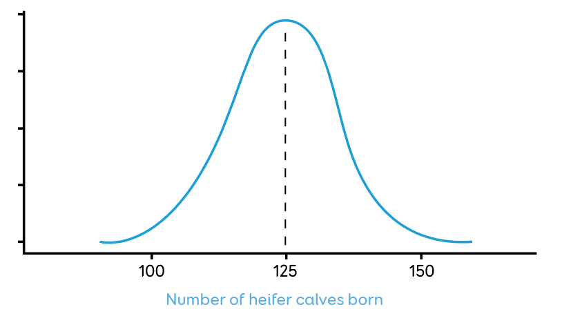 AB Heifer calves