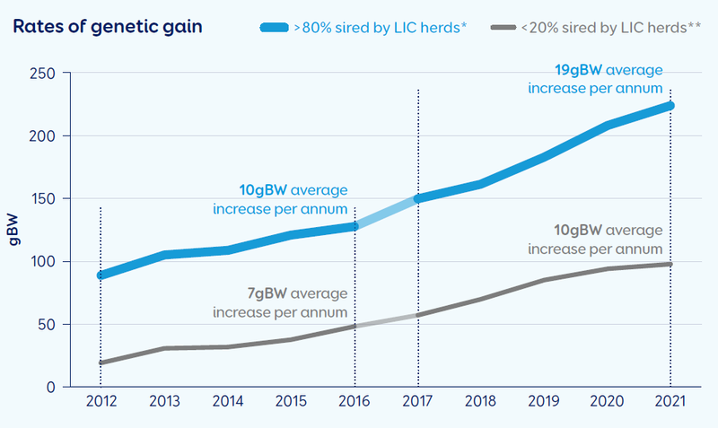 Rates of genetic gain