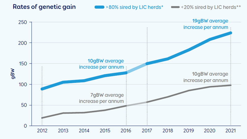 Rates of genetic gain