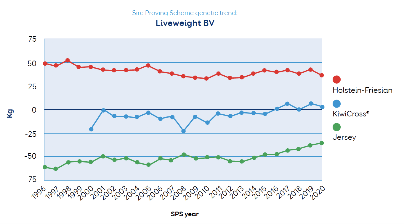 Liveweight BV