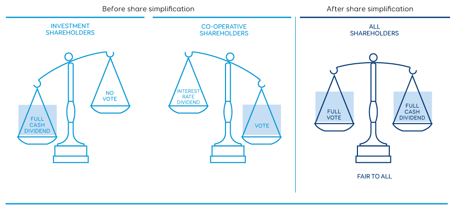 Share simplification graphic scales